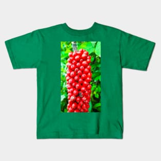 Closeup from Arum italicum subsp. canarienses ripe with red berries Kids T-Shirt